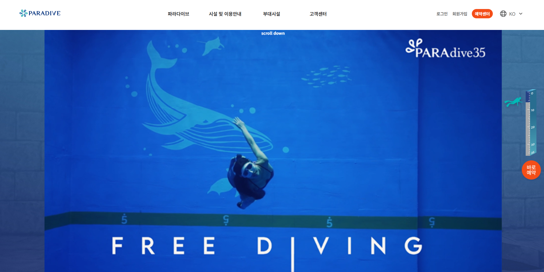 파라다이브